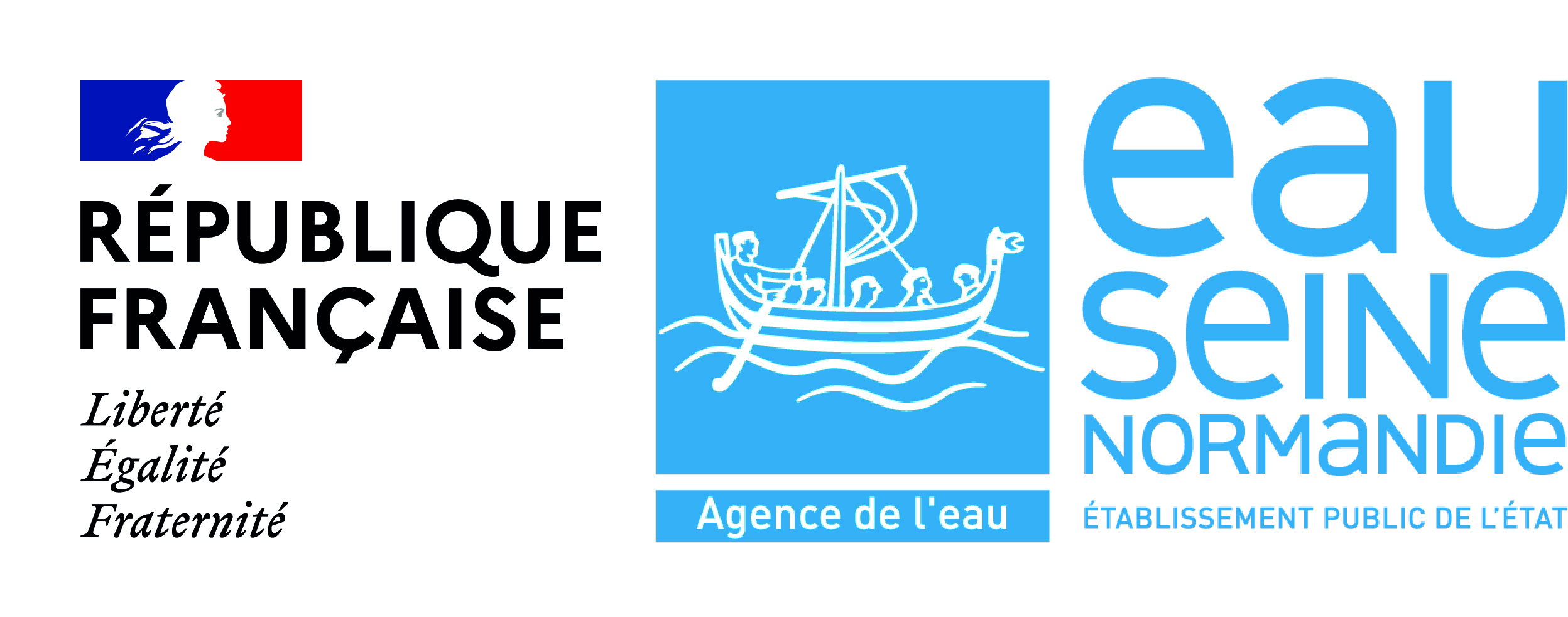 logo AESN